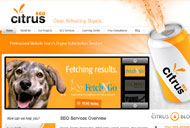 Citrus SEO