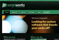 Surgeworks