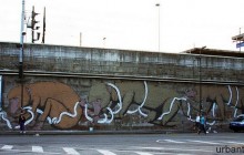 erica il cane - lambrate - milano - 2009