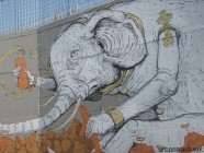 ericailcane - pisa - 2009