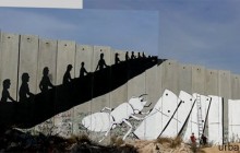 palestina - erica il cane