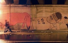 streetrave erica il cane