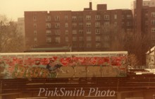 Lady Pink treno nyc