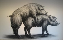 artlab-amsterdam-roa