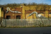 london-pedley-street-roa