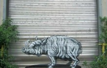roa_gent_05