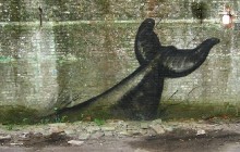 tail-roa-streetart