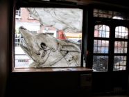 erica il cane londra