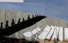 palestina erica il cane