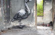 roa bird