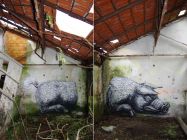 roa pig