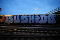 wholecar-berlin-2009-bushido-fler