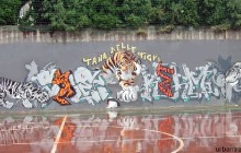 cale-psa-salerno.JPG
