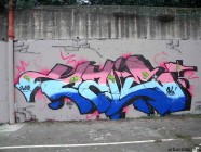 cale psa crew salerno