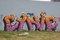 cynicnot-me-tcp-miami-america
