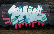 pave-2010