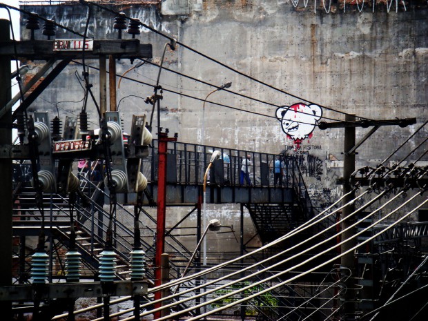 urso morto graffiti street art