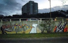 Thiago Alvim - Brasile - street art