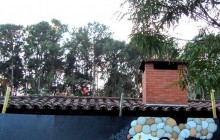 Thiago Alvim - Brasile - street art