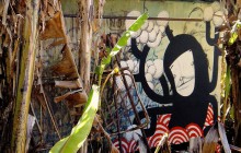 Thiago Alvim - Brasile - street art