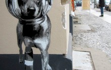 Boxi Germania stencil street art graffiti