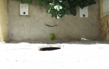 4878993235_29ffcb128f_b