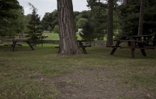 Wish You Were Here 2 - blog