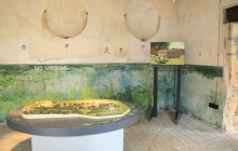 school trip insitu - blog
