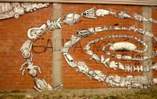 Liqen_Aug10_2_u_1000