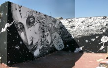 Liqen_Cara_Jan11_2_1000