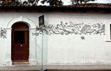 Liqen_MONTADO_Feb11_1_1000