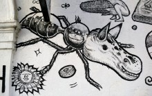 Liqen_MONTADO_Feb11_3_1000