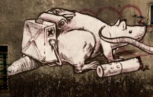 Liqen_Rats_Sep10_2_u_1000